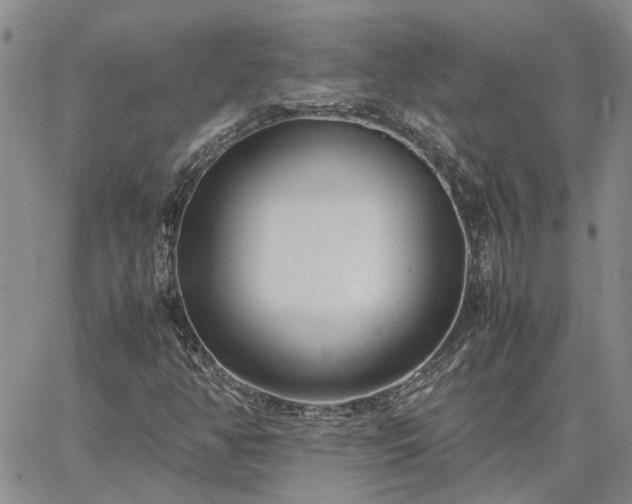 X0000064731350200602171631