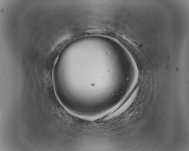 X0000064731351200602171631