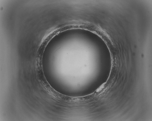 X0000064731352200602171631