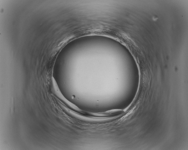 X0000064731353200602171631