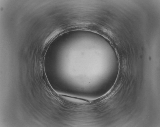 X0000064731354200602171631