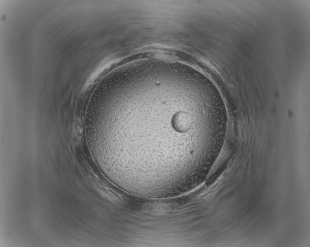 X0000064731355200602171631