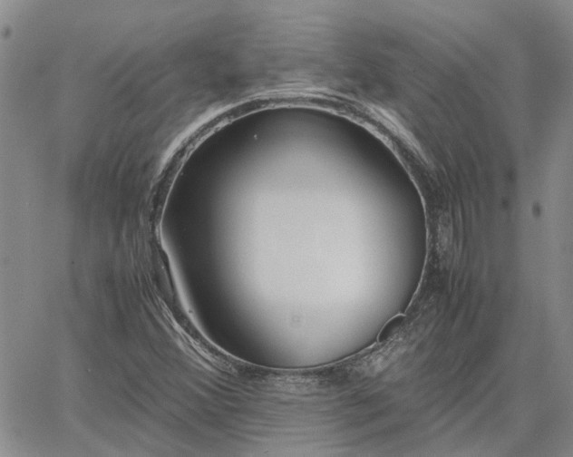 X0000064731356200602171631