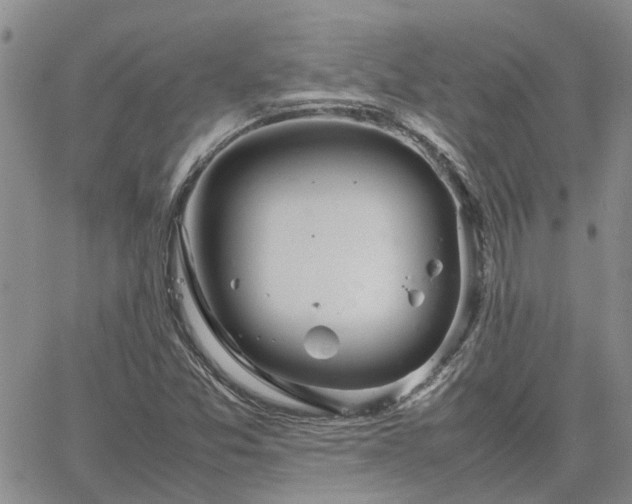 X0000064731357200602171631