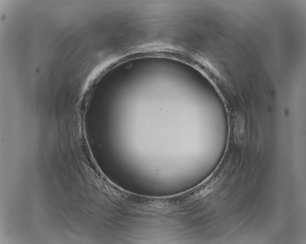 X0000064731358200602171631