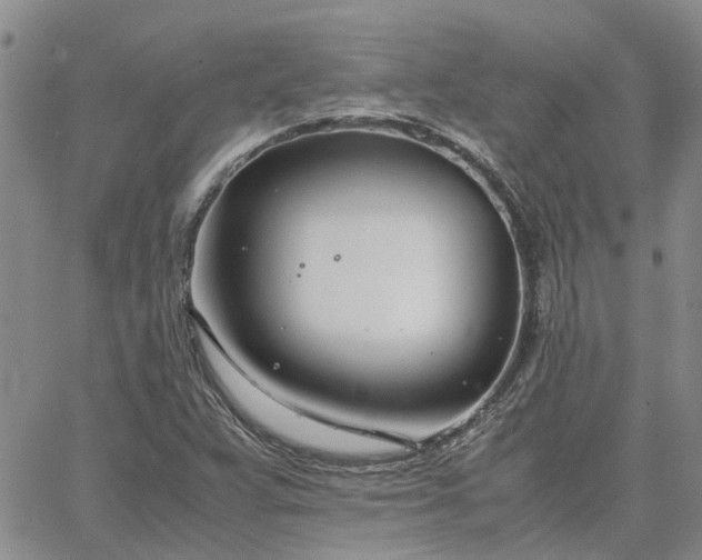 X0000064731359200602171631