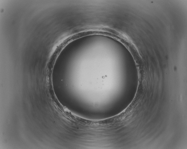 X0000064731360200602171631