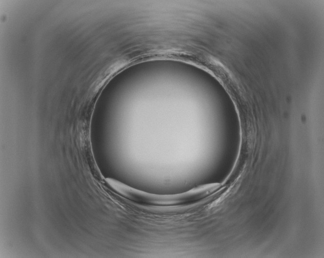 X0000064731361200602171631