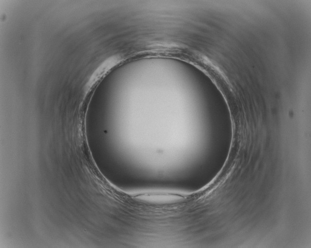 X0000064731362200602171631