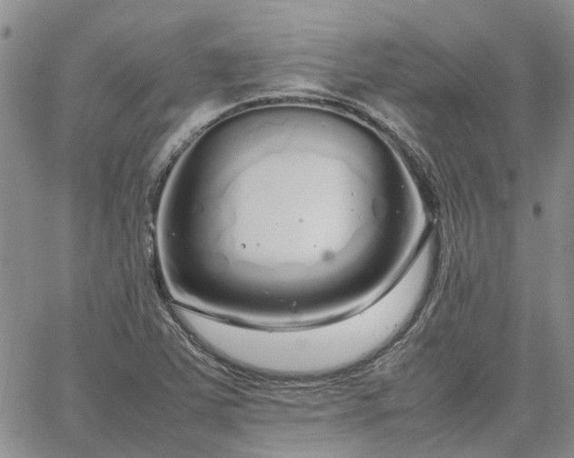 X0000064731363200602171631