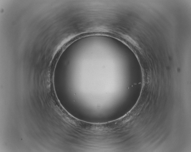 X0000064731364200602171631