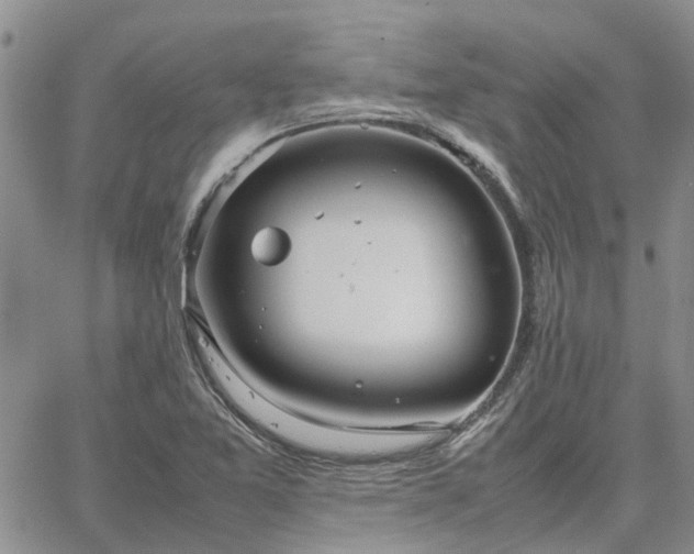 X0000064731365200602171631