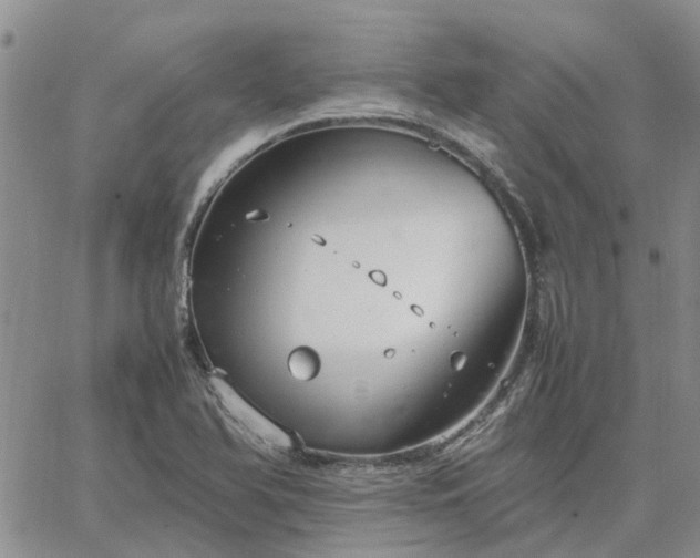 X0000064731366200602171631