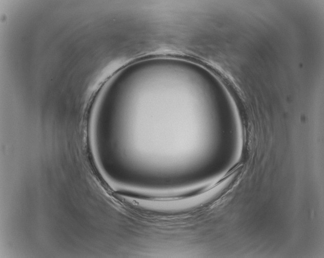 X0000064731367200602171631