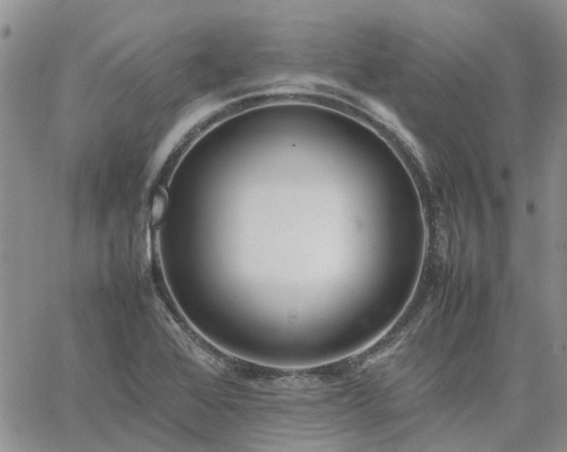 X0000064731368200602171631