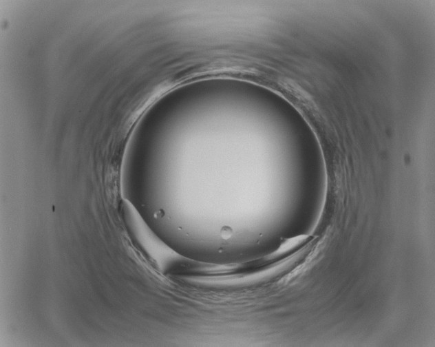 X0000064731369200602171631