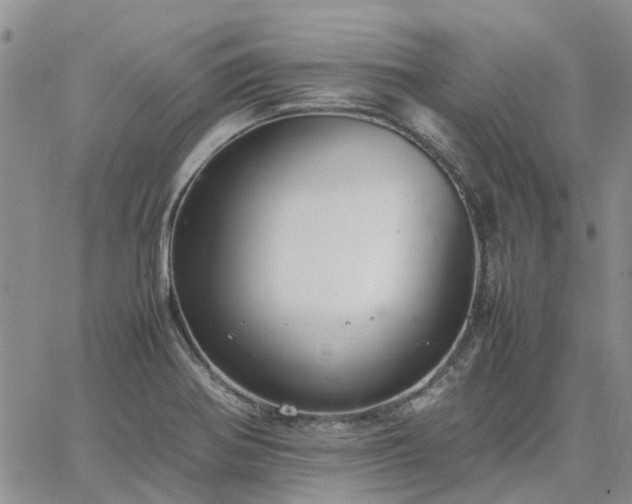 X0000064731370200602171631