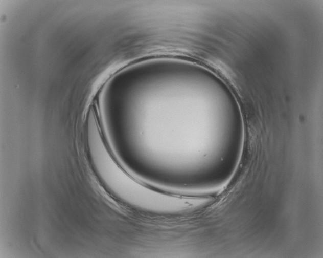 X0000064731371200602171631