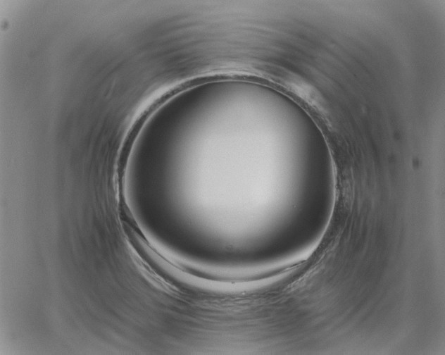 X0000064731372200602171631