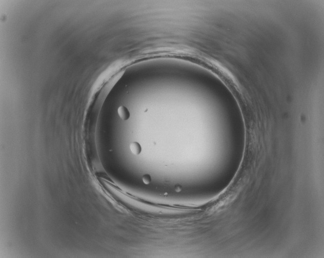 X0000064731373200602171631