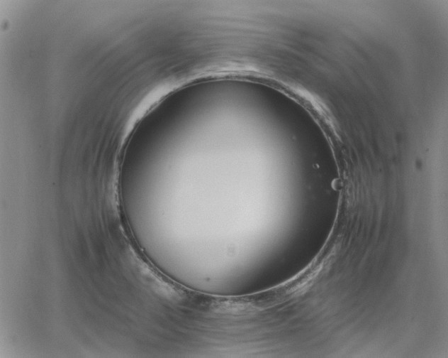 X0000064731374200602171631