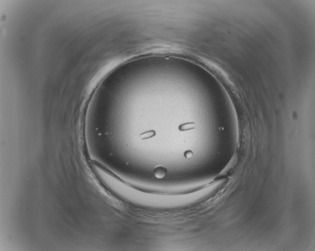 X0000064731375200602171631