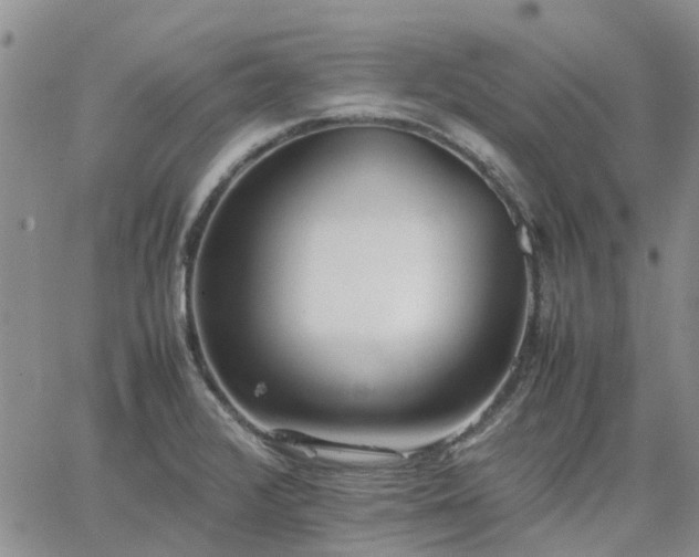 X0000064731376200602171631