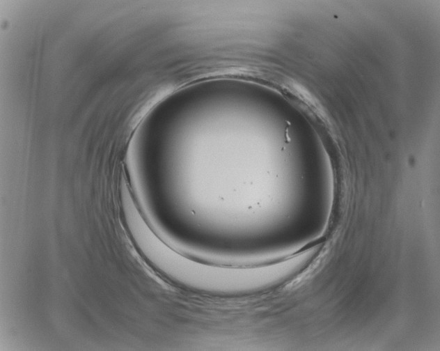 X0000064731377200602171631