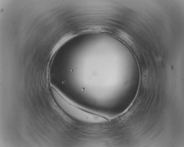 X0000064731378200602171631