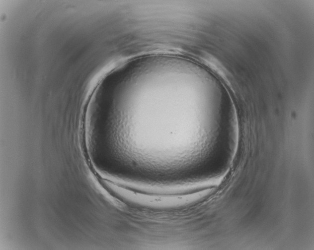 X0000064731379200602171631