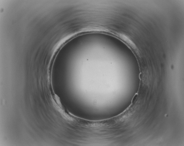 X0000064731380200602171630