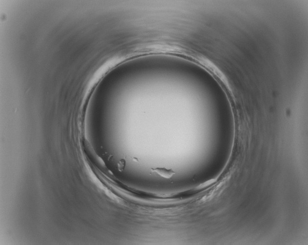 X0000064731381200602171630