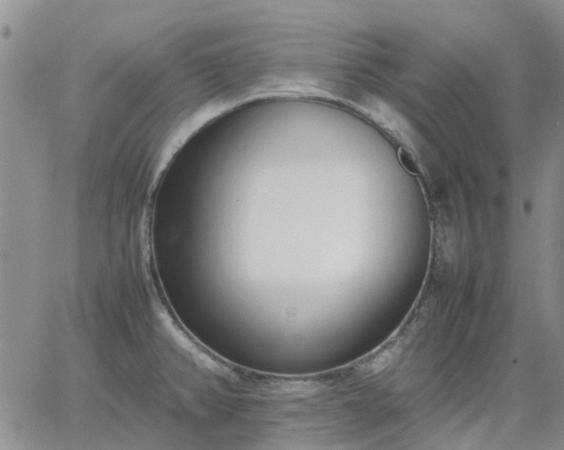 X0000064731382200602171630