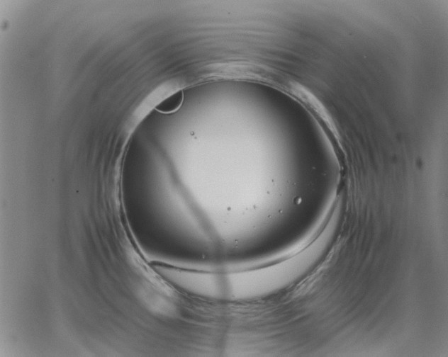 X0000064731386200602171630