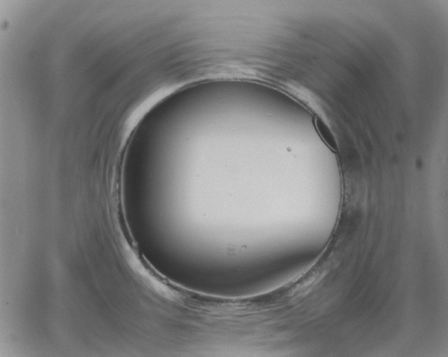 X0000064731387200602171630