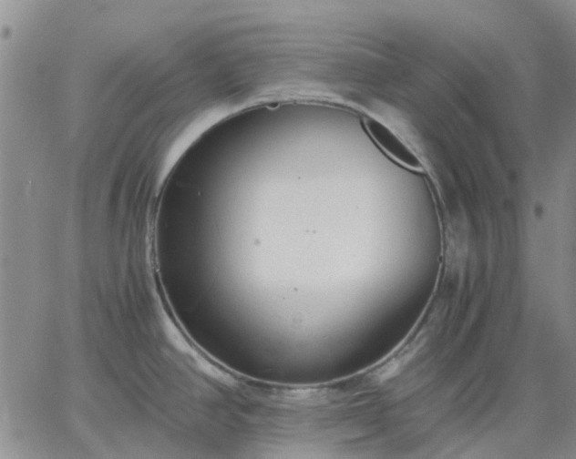 X0000064731390200602171630