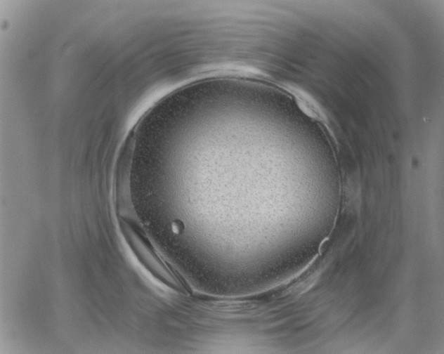 X0000064731391200602171630