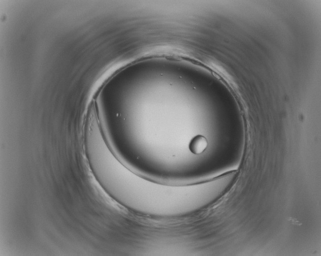 X0000064731392200602171630