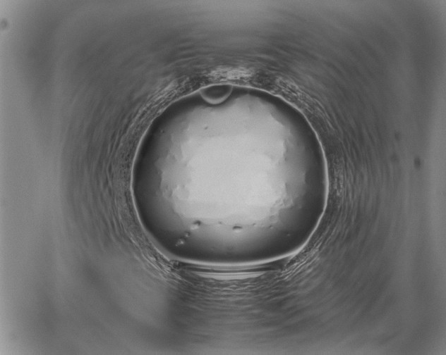 X0000064731393200602171630