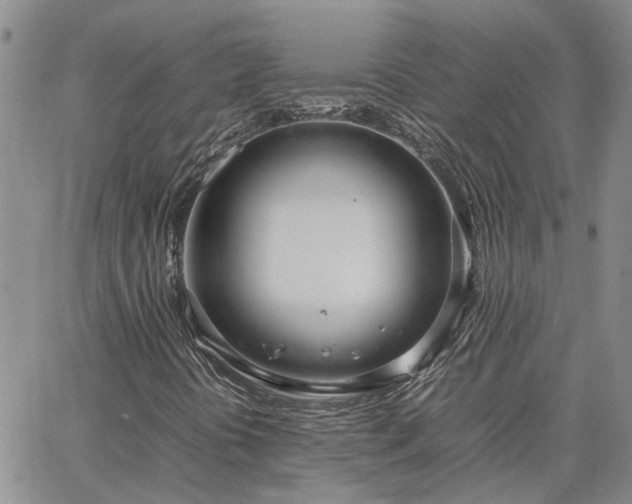 X0000064731394200602171630