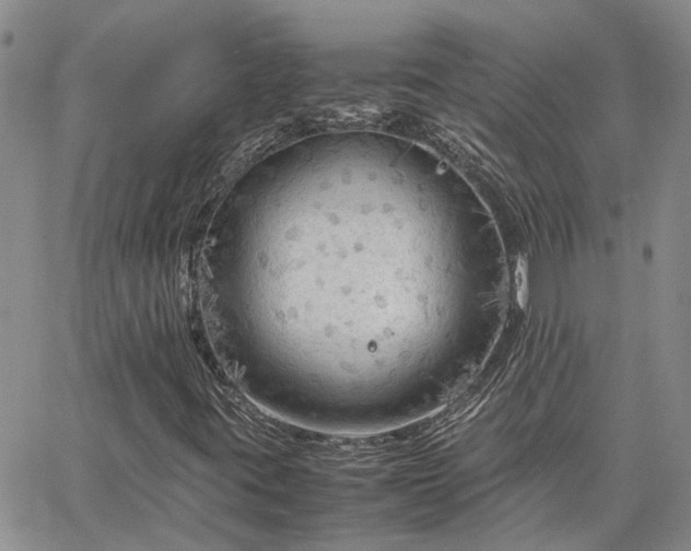 X0000064731395200602171630