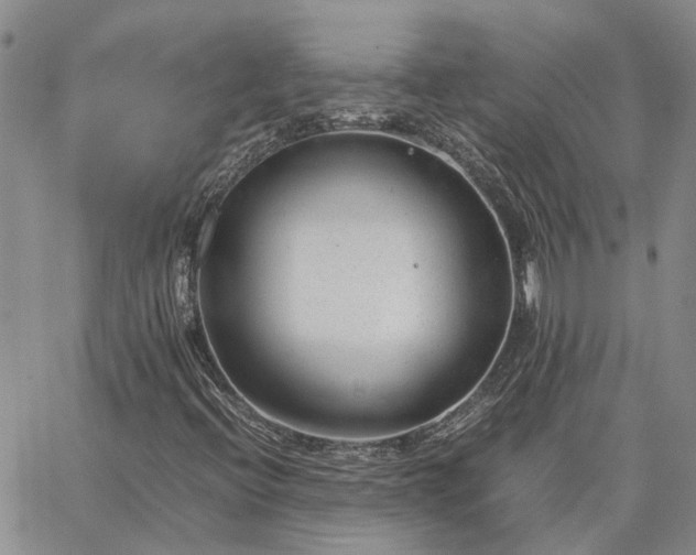 X0000064731396200602171630