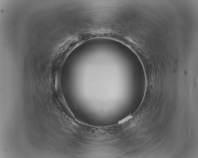 X0000064731398200602171630