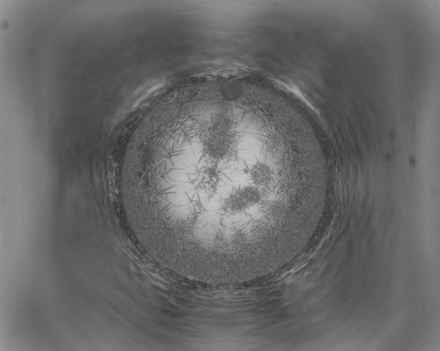 X0000064731399200602171630