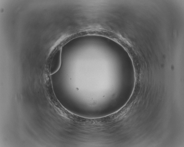 X0000064731400200602171630