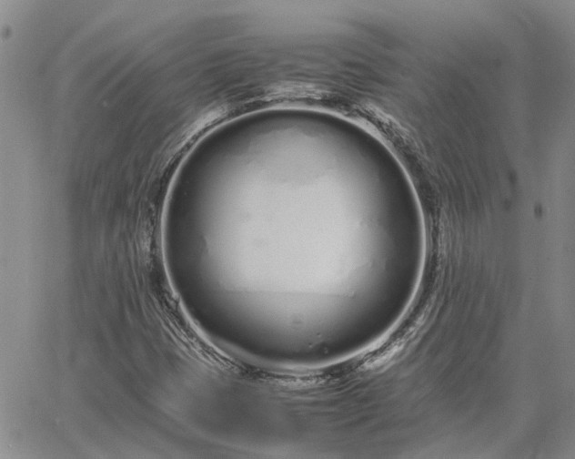 X0000064731401200602171630