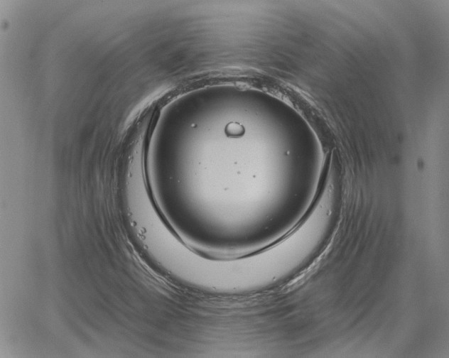 X0000064731402200602171630