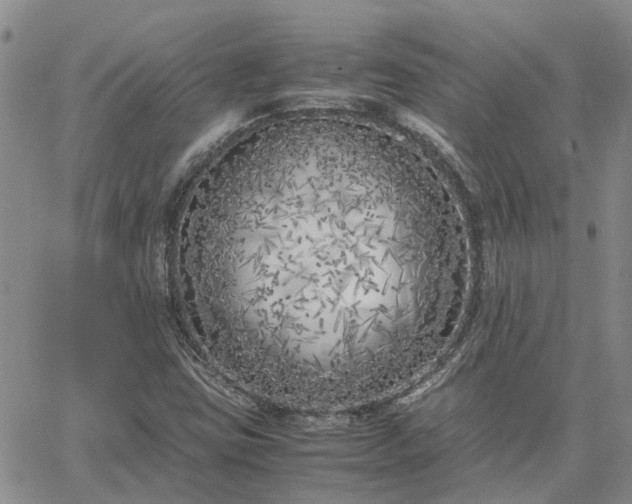 X0000064731403200602171630