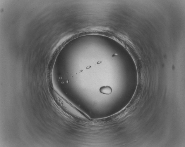 X0000064731404200602171630