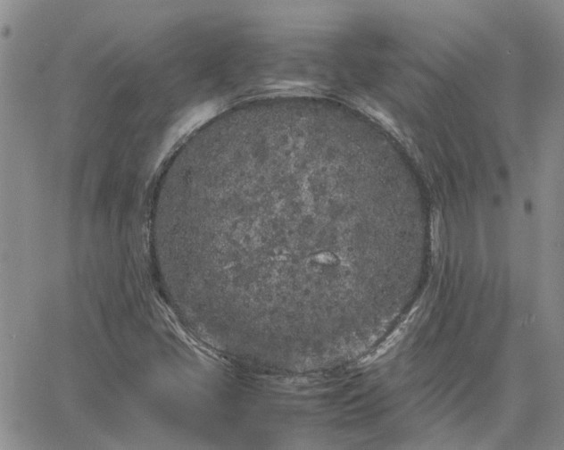 X0000064731405200602171630